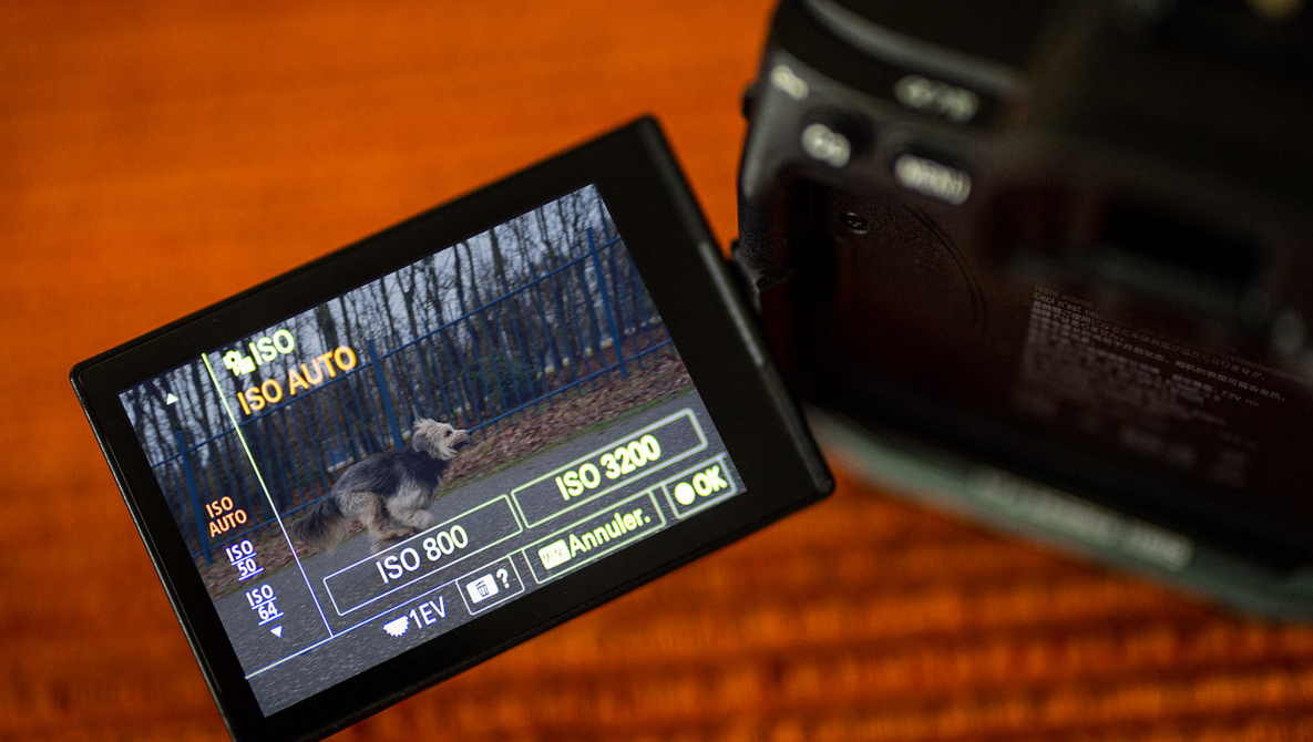 La gestion de l’ISO en photographie numérique