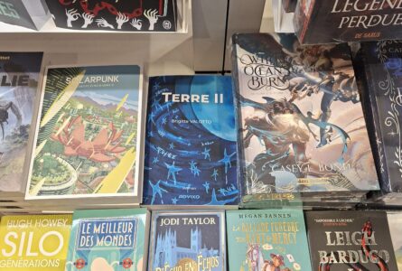 Terre II de Brigitte VALOTTO à la Fnac Genève