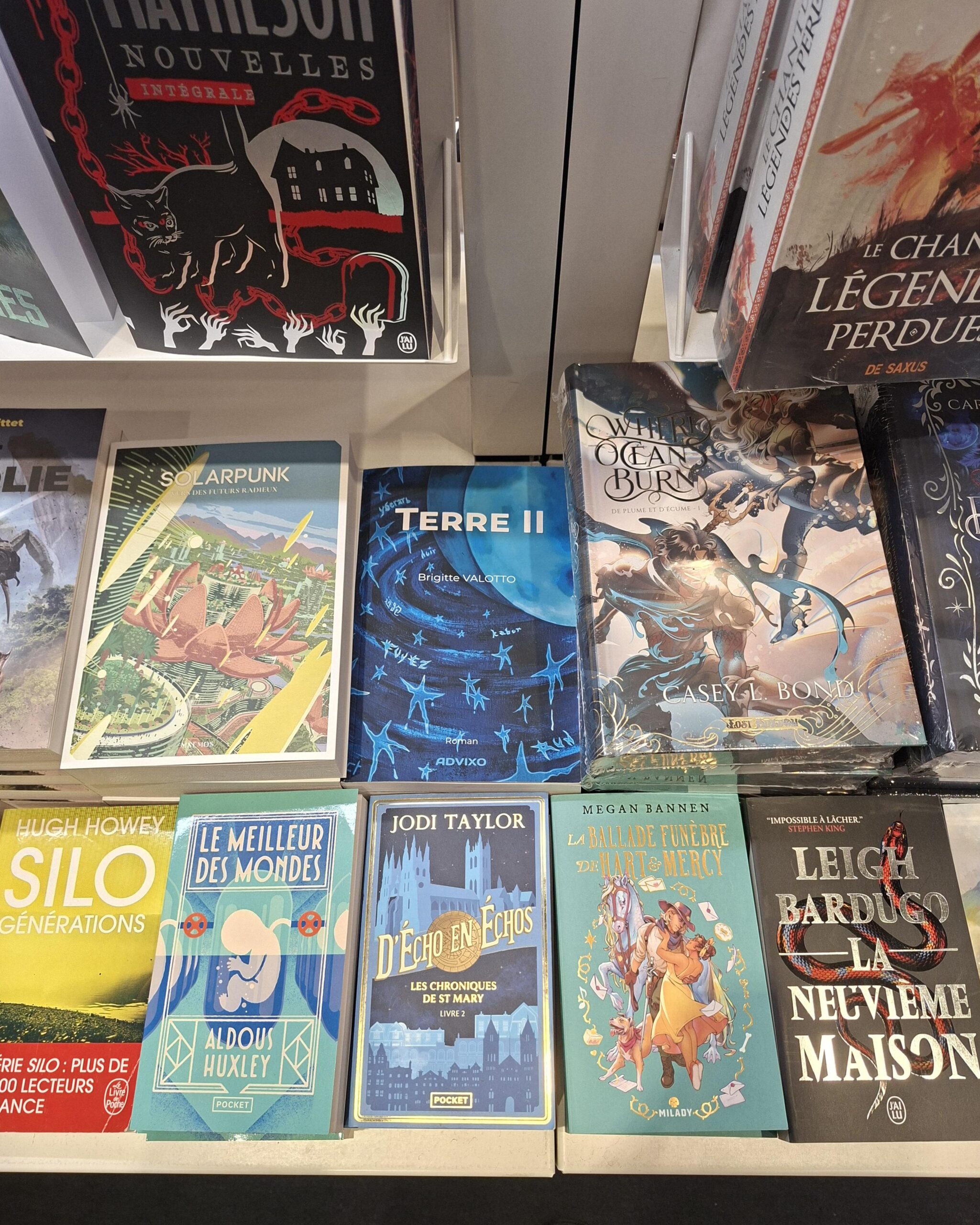 Terre II de Brigitte Valotto à la Fnac Rive à Genève